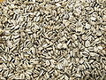 Sunflower seeds from the head of a sunflower.