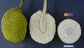 Thumbnail for version as of 04:55, 28 May 2013