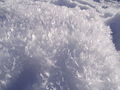 Thumbnail for version as of 07:42, 27 January 2016