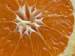 JUICY!!!!!!! ohhh Citrus Sinensis.jpg