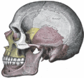 Thumbnail for version as of 10:34, 28 February 2013
