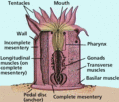 Thumbnail for version as of 19:00, 29 September 2006