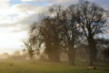Thumbnail for version as of 02:46, 26 April 2007