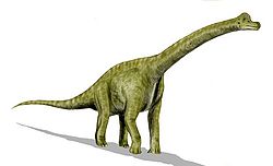 Brachiosaurus.jpg