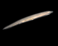 Thumbnail for version as of 17:29, 6 June 2011