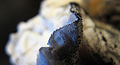 Thumbnail for version as of 03:48, 4 March 2009