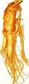 Thumbnail for version as of 20:49, 9 May 2010