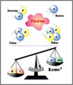 Thumbnail for version as of 04:01, 6 January 2008