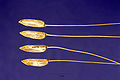 Barth's rice (Oryza barthii)