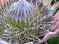 Thumbnail for version as of 04:31, 9 May 2012