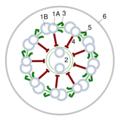 Thumbnail for version as of 12:40, 14 June 2013