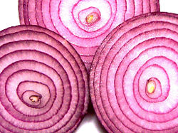 Onion 2.jpg