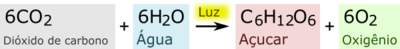Equação química para a fotossíntese.