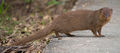 Thumbnail for version as of 04:48, 10 October 2013
