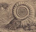 Thumbnail for version as of 21:45, 30 September 2006