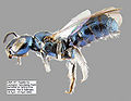 Thumbnail for version as of 02:46, 23 November 2011