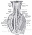 Thumbnail for version as of 02:13, 8 May 2013