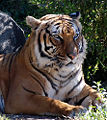 Thumbnail for version as of 18:07, 23 November 2008