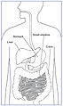 Thumbnail for version as of 06:38, 13 May 2011