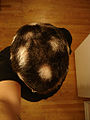 Thumbnail for version as of 01:32, 12 May 2010