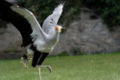 Thumbnail for version as of 20:56, 11 February 2007