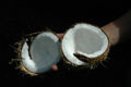 Coconut insides (without the coconut milk)