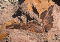Thumbnail for version as of 08:57, 4 March 2010