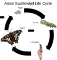 Thumbnail for version as of 01:08, 12 January 2015