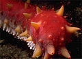 Thumbnail for version as of 23:19, 19 November 2011