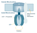 Thumbnail for version as of 16:43, 12 May 2008