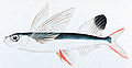 Thumbnail for version as of 22:32, 28 November 2008