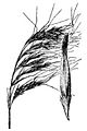 Thumbnail for version as of 18:57, 17 April 2009