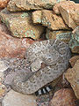 Thumbnail for version as of 01:59, 4 January 2008