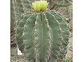 Thumbnail for version as of 07:22, 9 January 2007