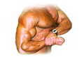 Thumbnail for version as of 19:30, 25 October 2007