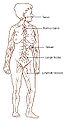 Thumbnail for version as of 17:38, 19 March 2008