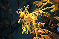 Thumbnail for version as of 20:28, 6 December 2006