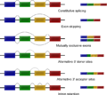 Thumbnail for version as of 18:11, 22 February 2013