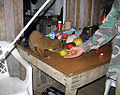 Thumbnail for version as of 04:18, 4 January 2007