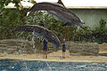 Thumbnail for version as of 04:58, 1 January 2007