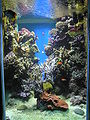 Thumbnail for version as of 17:39, 27 September 2006