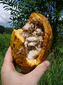 Thumbnail for version as of 22:20, 17 May 2007