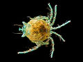 Thumbnail for version as of 01:19, 24 November 2007