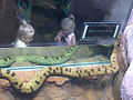 Thumbnail for version as of 18:02, 23 March 2007