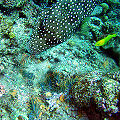 Thumbnail for version as of 19:07, 28 September 2006