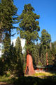 Thumbnail for version as of 03:16, 16 June 2008