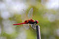 Thumbnail for version as of 00:37, 29 November 2007