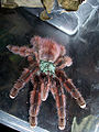Thumbnail for version as of 19:32, 19 October 2006