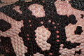Thumbnail for version as of 19:56, 30 December 2006