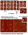 Thumbnail for version as of 17:57, 18 February 2010